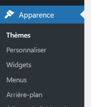 Capture d'écran du menu admin WordPress : Apparence, thèmes