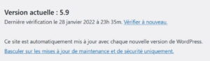 Capture d'écran de l'administration WordPress : Mises à jour, réglage des mises à jour automatiques de WordPress (moteur CMS)